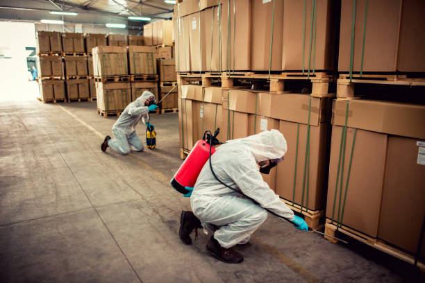 Reliable East Porterville, CA Pest Control Solutions