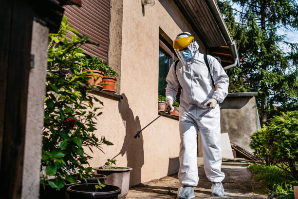 Best Best Pest Control Companies  in East Porterville, CA
