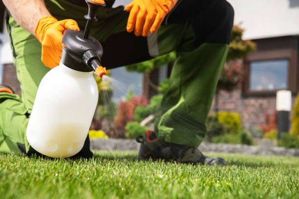 Best Wildlife Control Services  in East Porterville, CA