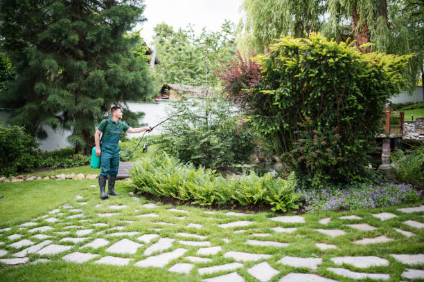 Flea Control Services in East Porterville, CA