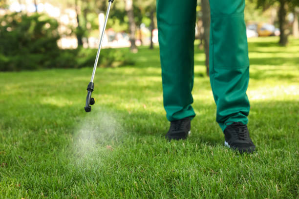 Best Pest Inspection Near Me  in East Porterville, CA
