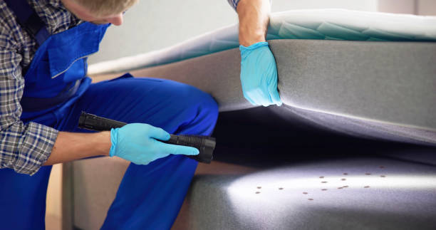 Best Affordable Pest Control Services  in East Porterville, CA