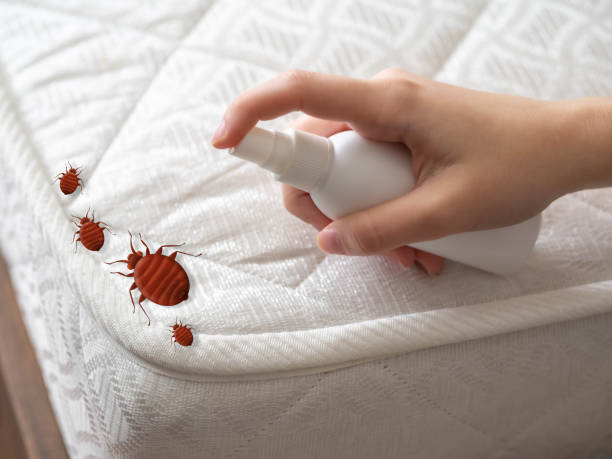 Best Pest Control Near Me in East Porterville, CA