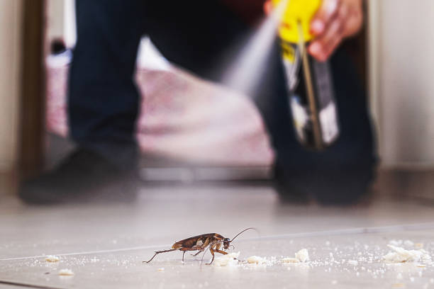 Wildlife Control Services in East Porterville, CA