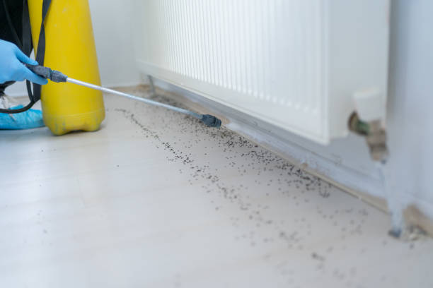 Best Exterminator Services  in East Porterville, CA