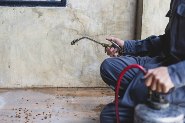 Best Pest Prevention Services  in East Porterville, CA