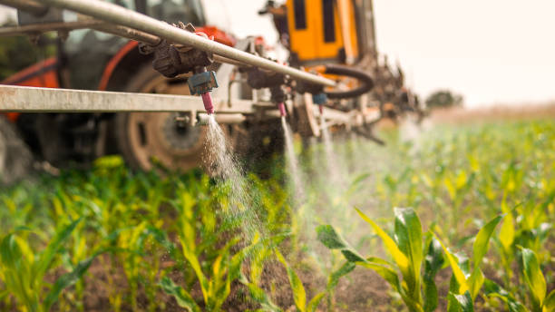 Best Ant Control Services  in East Porterville, CA