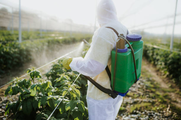 East Porterville, CA Pest Control Company